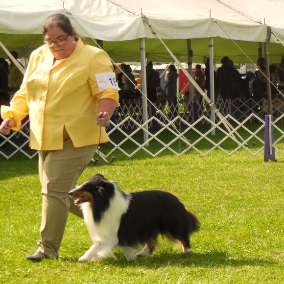 Meet your Posher, Jessica - Picture 1 of 1